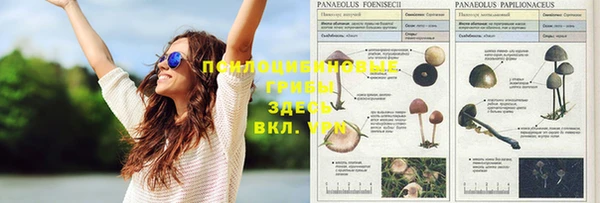 эйфоретик Алексеевка