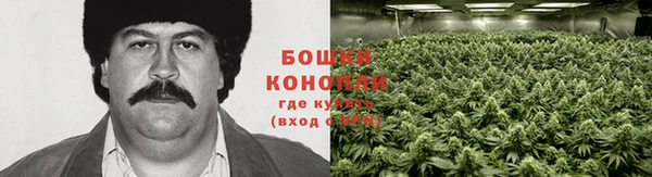 трава Алзамай