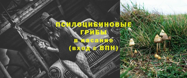 сатива Алексин