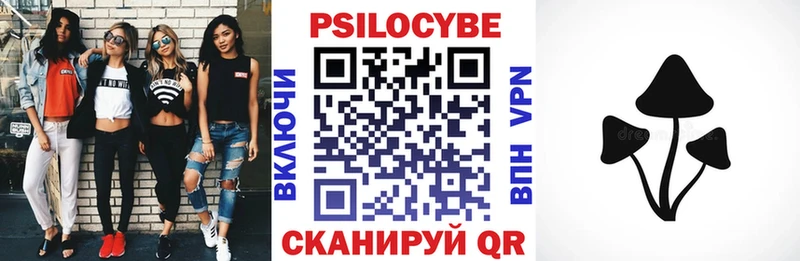 Псилоцибиновые грибы Psilocybe  наркотики  Южно-Сахалинск 